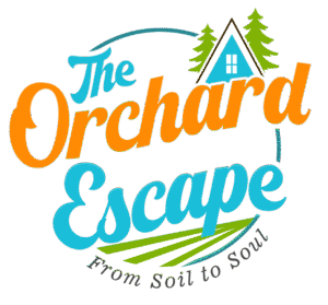 cropped-Logo-4-1.png